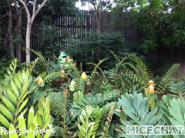 , DCA Photo Update – Farewell to Bugs