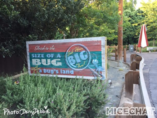 , DCA Photo Update – Farewell to Bugs