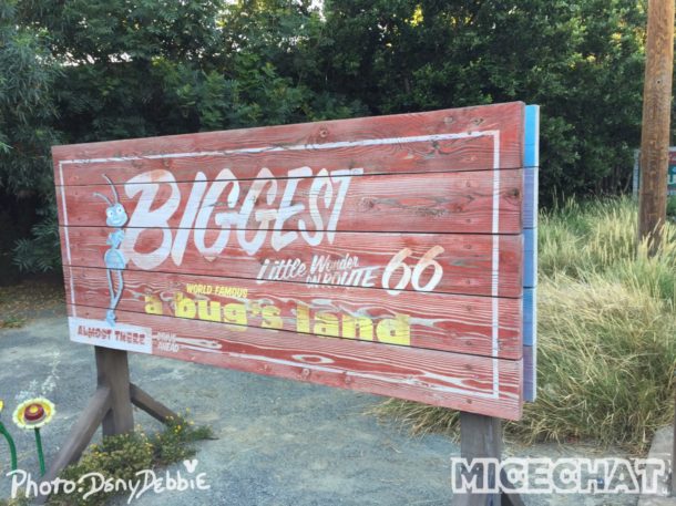 , DCA Photo Update – Farewell to Bugs
