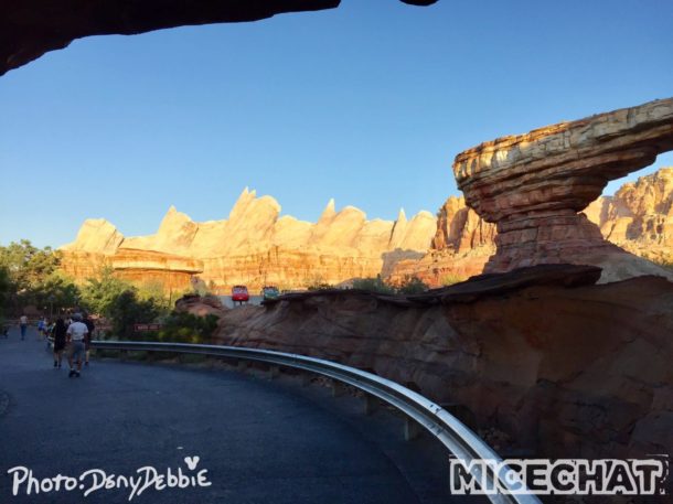, DCA Photo Update – Farewell to Bugs