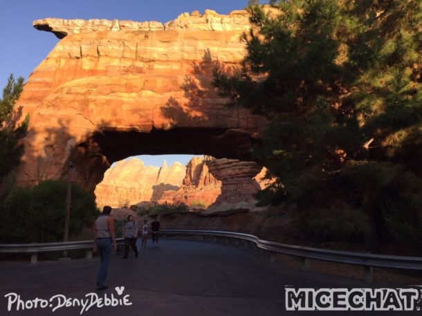 , DCA Photo Update – Farewell to Bugs
