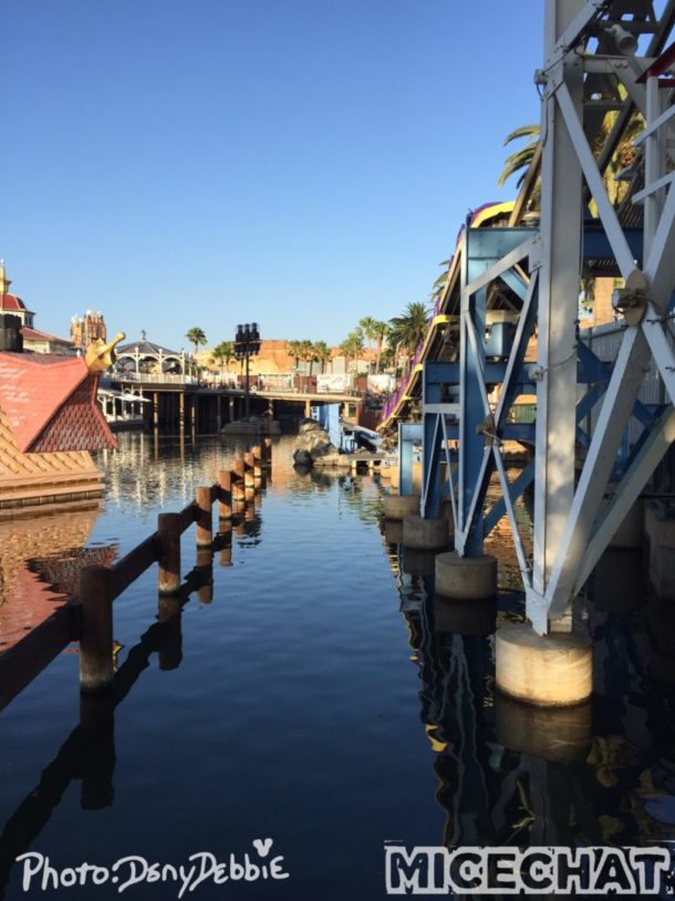 , DCA Photo Update – Farewell to Bugs