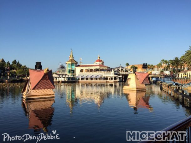, DCA Photo Update – Farewell to Bugs