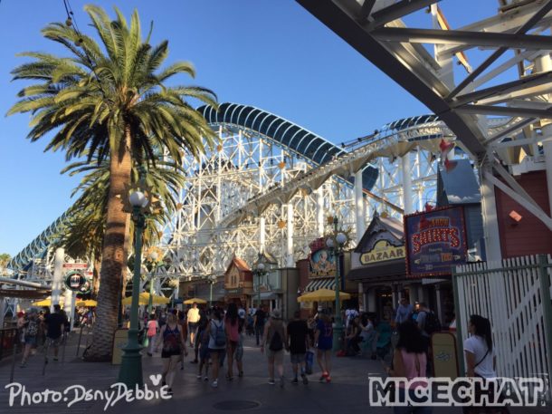 , DCA Photo Update – Farewell to Bugs