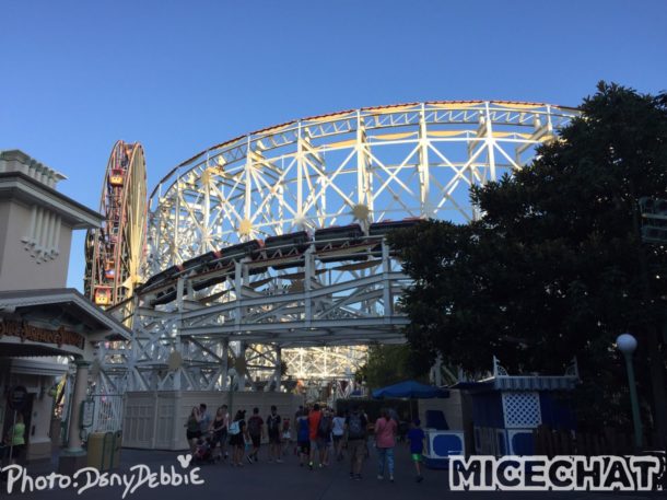 , DCA Photo Update – Farewell to Bugs