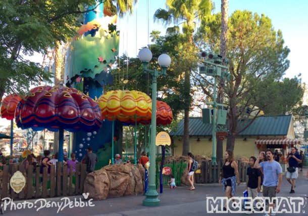 , DCA Photo Update – Farewell to Bugs