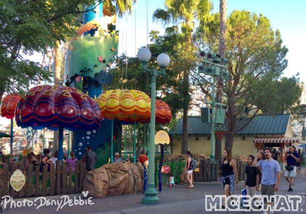 , DCA Photo Update &#8211; Farewell to Bugs