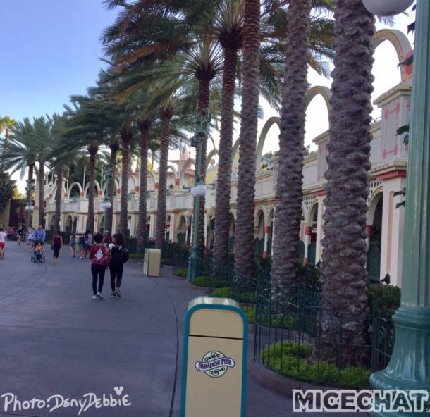 , DCA Photo Update – Farewell to Bugs