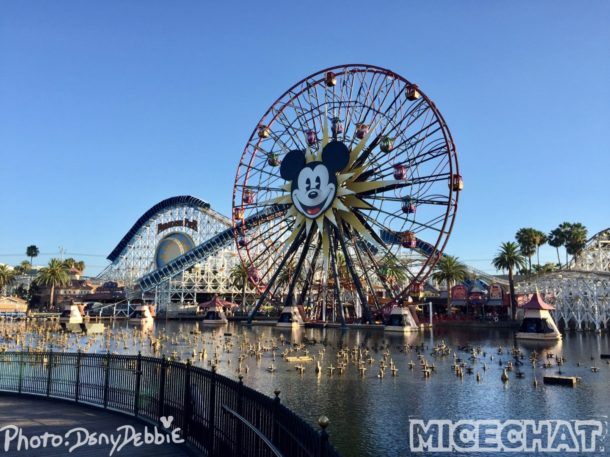 , DCA Photo Update – Farewell to Bugs