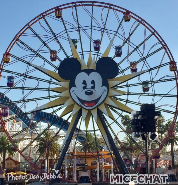 , DCA Photo Update – Farewell to Bugs