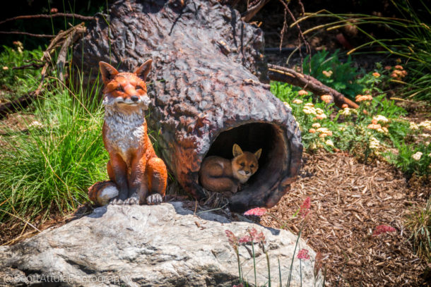 , Disneyland Special Update – Disneyland Classic River and Railroad Return