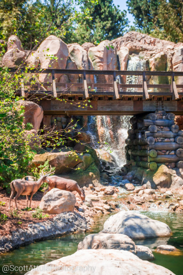 , Disneyland’s River Reopens