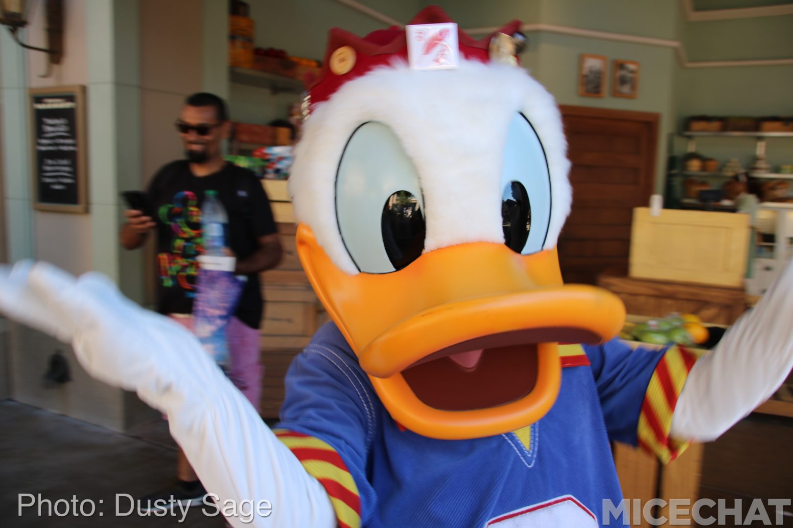 , Disneyland Resort Update – Maintenance, Strollers, and Pixar in the Parks