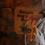 MA1-Bug-Eyes-2-MiceAgeDCA-010