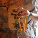 MA1-Bug-Eyes-MiceAgeDCA-011