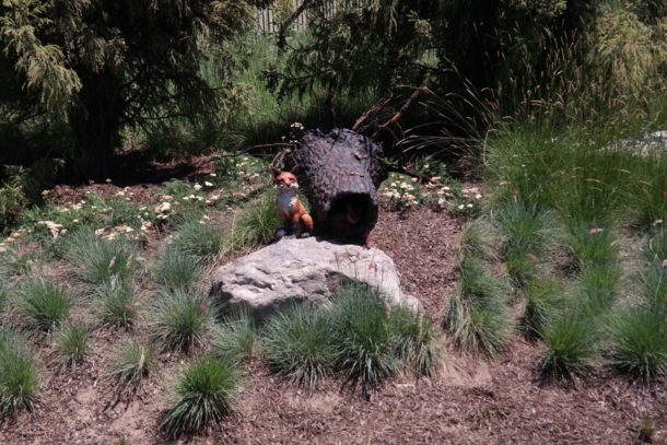 , Disneyland Photo Update: Giving New Meaning to “Dark” Ride