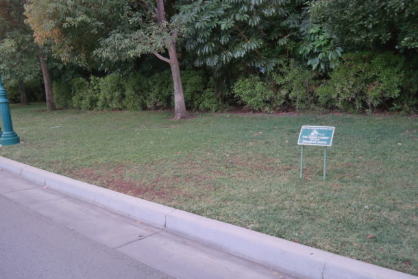 , DCA Photo Update: Park Somewhere Else!