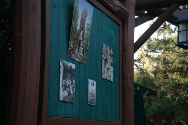 , DCA Photo Update: Park Somewhere Else!