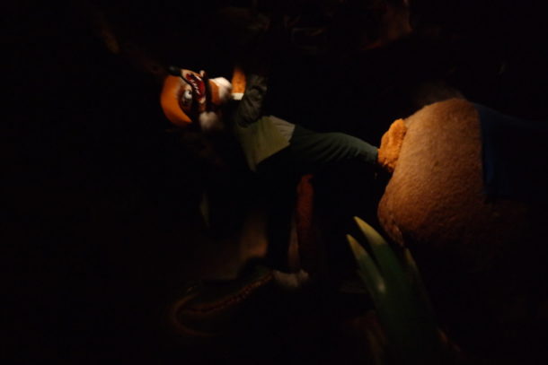 , Disneyland Photo Update: Giving New Meaning to “Dark” Ride