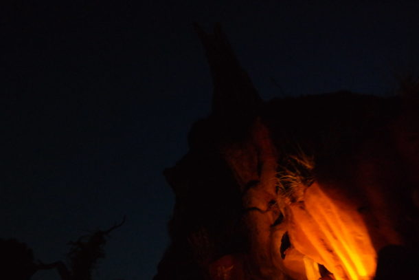 , Disneyland Photo Update – It’s Almost Halloween Time Again