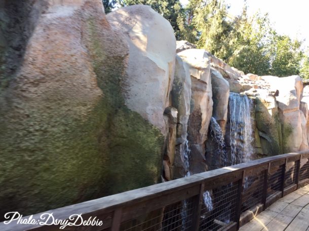 , Disneyland Photo Update – It’s All In The Details