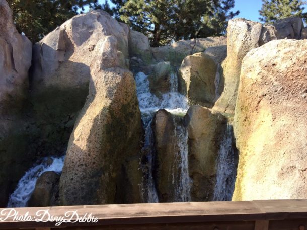 , Disneyland Photo Update – It’s All In The Details