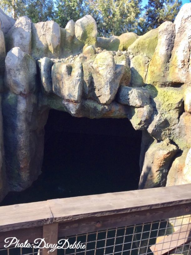 , Disneyland Photo Update – It’s All In The Details