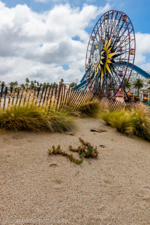 , DCA Photo Update: More Than Just Monsters After Dark