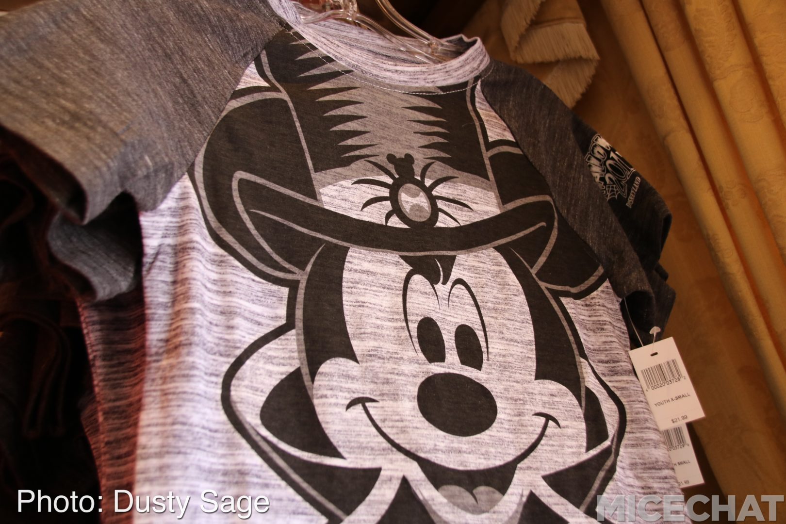 , Disneyland Photo Update – Electrical Lights Wink Out As Seasons Change
