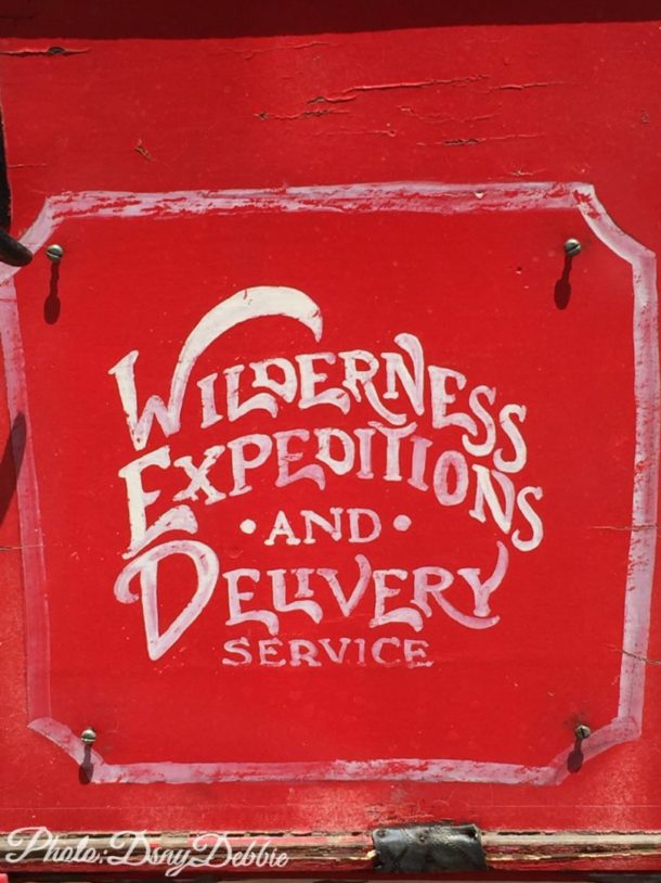 , Disneyland Photo Update – It’s All In The Details