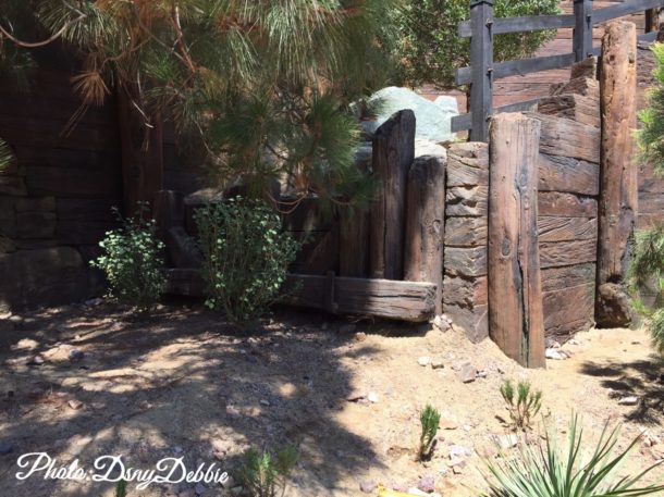 , Disneyland Photo Update – It’s All In The Details