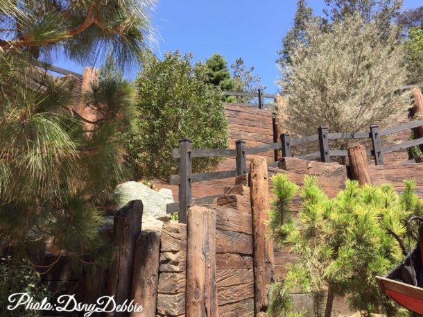 , Disneyland Photo Update – It’s All In The Details