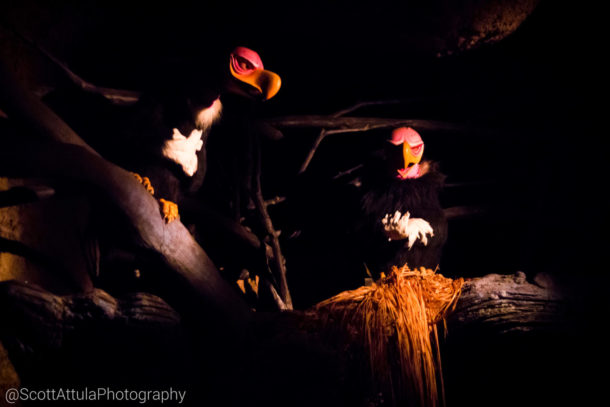 , Disneyland Photo Update: Giving New Meaning to “Dark” Ride