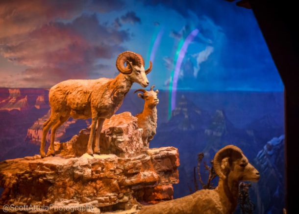 , Disneyland Photo Update: Giving New Meaning to “Dark” Ride