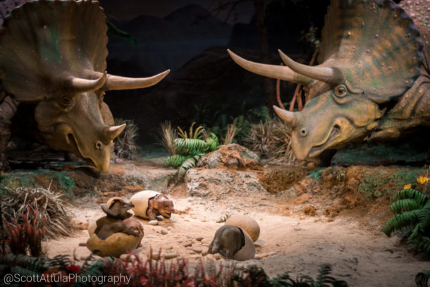 , Disneyland Photo Update: Giving New Meaning to “Dark” Ride