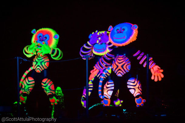 , Disneyland Photo Update: Giving New Meaning to “Dark” Ride