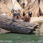 Indian-Boy-Dog-Brian-MiceChatDCA-01