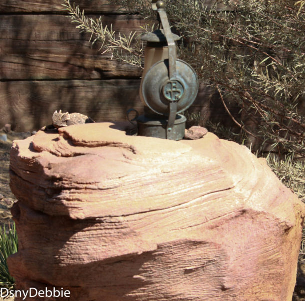 , Disneyland Photo Update – It’s All In The Details