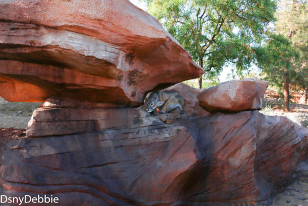, Disneyland Photo Update – It’s All In The Details