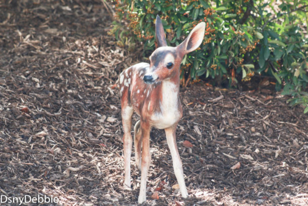 , Disneyland Photo Update – It’s All In The Details