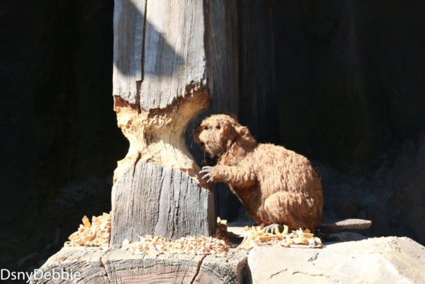 , Disneyland Photo Update – It’s All In The Details
