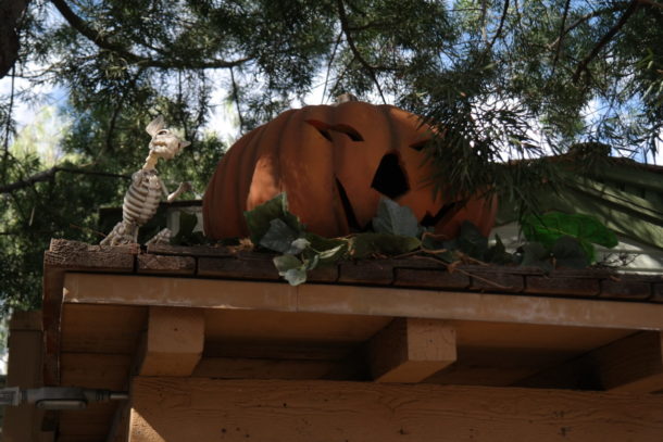 , Knott’s Berry Farm Update: Scary Farm & Spooky Farm