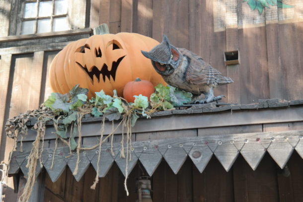 , Knott’s Berry Farm Update: Scary Farm & Spooky Farm