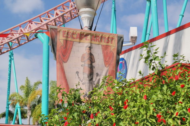 , Knott’s Berry Farm Update: Scary Farm & Spooky Farm