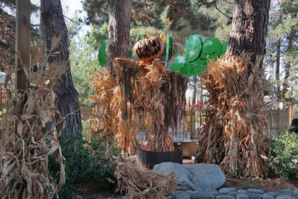 , Knott’s Berry Farm Update: Scary Farm & Spooky Farm