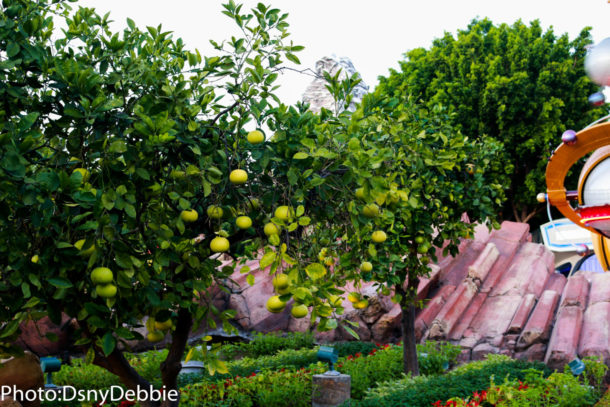 , Disneyland Photo Update – Halloween Time Crowd Surge