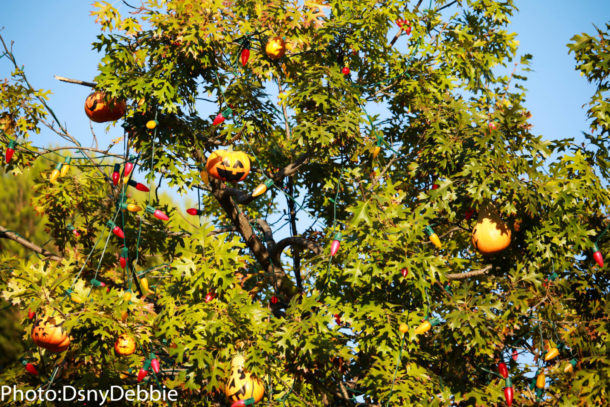 , Disneyland Photo Update – Halloween Time Crowd Surge