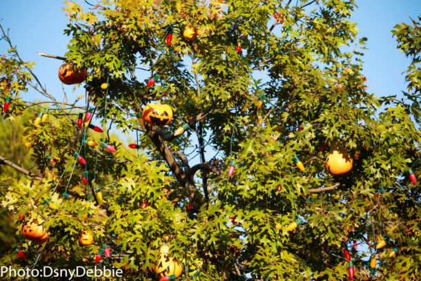 , Disneyland Photo Update &#8211; Halloween Time Crowd Surge