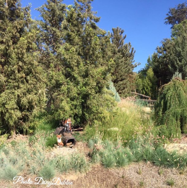 , Disneyland Photo Update &#8211; When Hinges Creak . . .