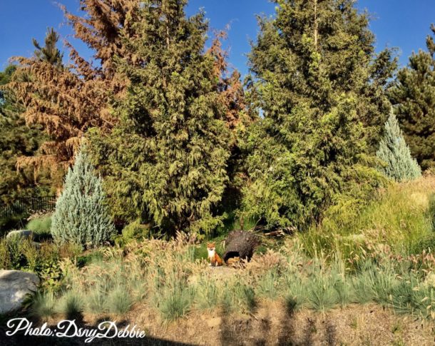 , Disneyland Photo Update – When Hinges Creak . . .